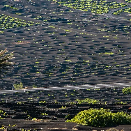 Home2book Serene Canary Style House, Garden & Pool Prázdninový dům *