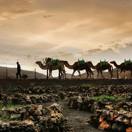 Home2book Serene Canary Style House, Garden & Pool Vakantiehuis